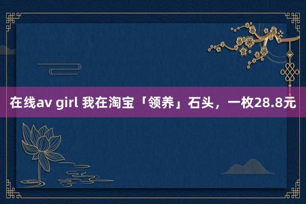 在线av girl 我在淘宝「领养」石头，一枚28.8元