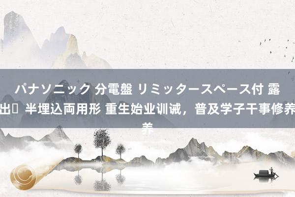 パナソニック 分電盤 リミッタースペース付 露出・半埋込両用形 重生始业训诫，普及学子干事修养
