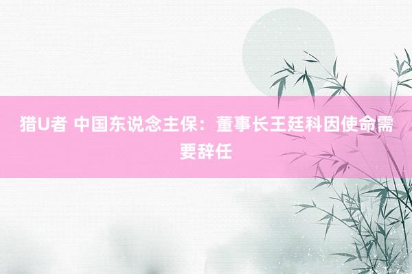 猎U者 中国东说念主保：董事长王廷科因使命需要辞任