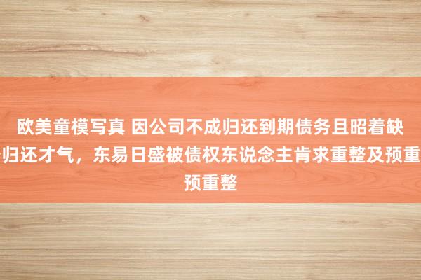 欧美童模写真 因公司不成归还到期债务且昭着缺少归还才气，东易日盛被债权东说念主肯求重整及预重整