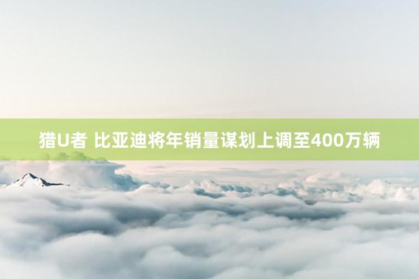 猎U者 比亚迪将年销量谋划上调至400万辆