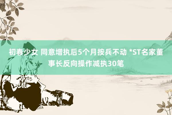 初春少女 同意增执后5个月按兵不动 *ST名家董事长反向操作减执30笔