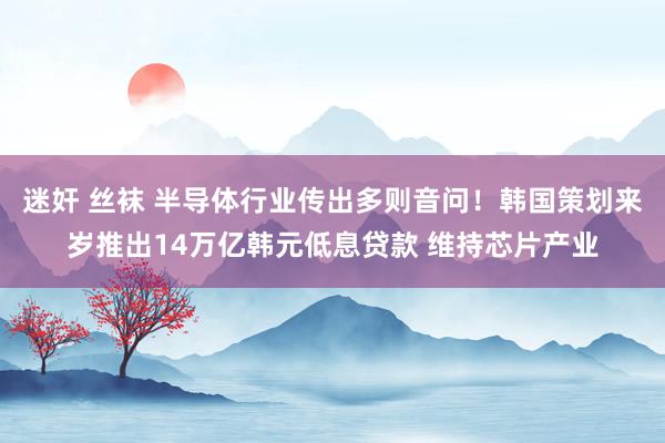 迷奸 丝袜 半导体行业传出多则音问！韩国策划来岁推出14万亿韩元低息贷款 维持芯片产业