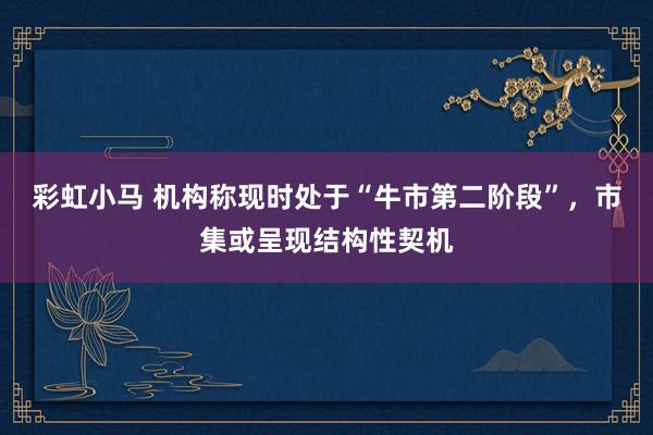 彩虹小马 机构称现时处于“牛市第二阶段”，市集或呈现结构性契机