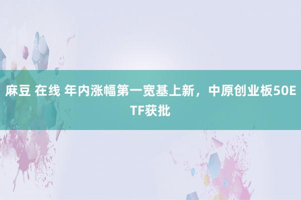 麻豆 在线 年内涨幅第一宽基上新，中原创业板50ETF获批