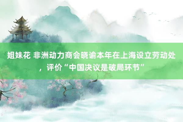 姐妹花 非洲动力商会晓谕本年在上海设立劳动处，评价“中国决议是破局环节”