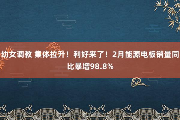 幼女调教 集体拉升！利好来了！2月能源电板销量同比暴增98.8%